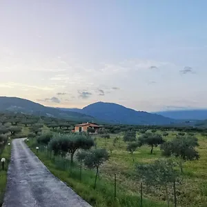 https://villa-panoramica.sicilyhotelsitaly.net